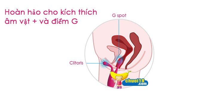  Bán Máy Rung Đa Năng Kích Thích Cao Cấp Cho Nữ - Svakom Marin USA hàng xách tay