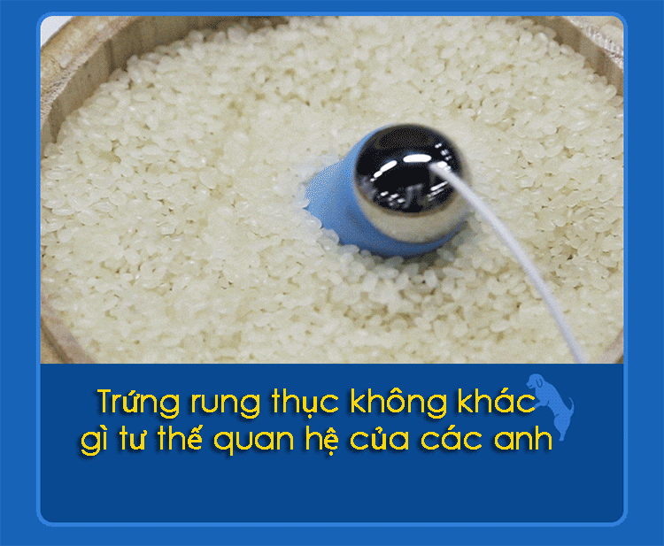  Review Trứng Rung 2 Đầu : 1 Đầu Rung Thụt Siêu Mạnh - 1 Đầu Rung - Leten Nhật Bản giá tốt