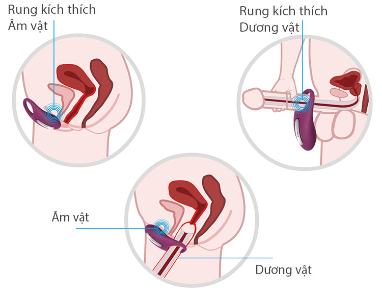  Nhập sỉ Vòng Rung Đeo Dương Vật Cao Cấp Điều Khiển Từ Xa - SVAKOM WINNI chính hãng