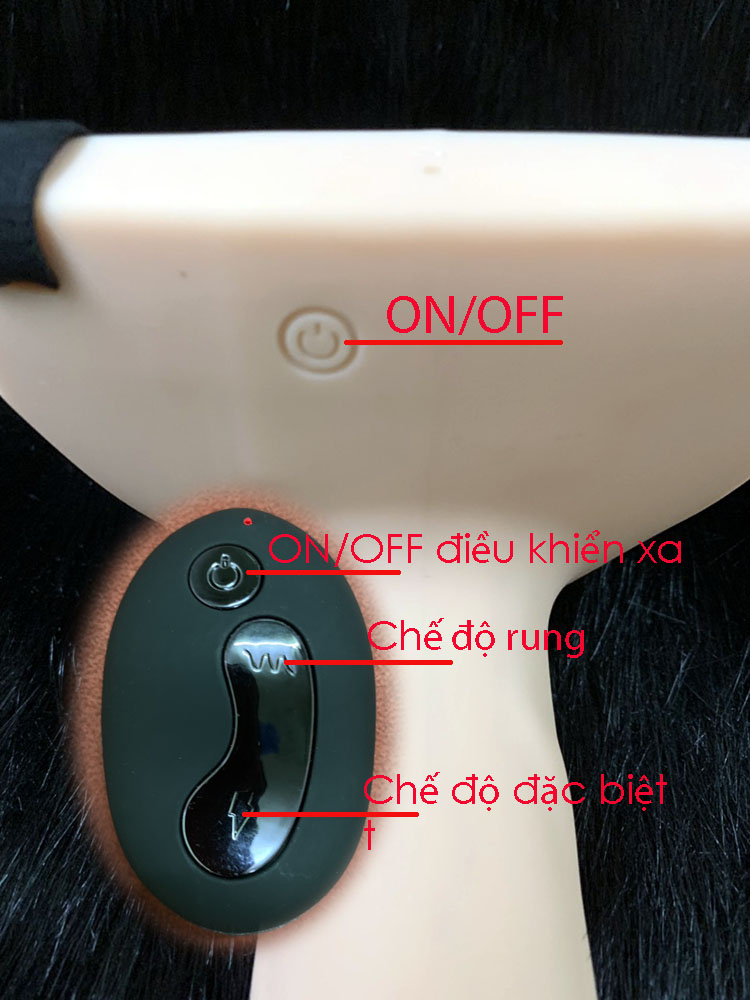  Kho sỉ Dương Vật Giả Dây Đeo Rỗng Có Rung Điều Khiển Từ Xa - Curved Dong USA cao cấp